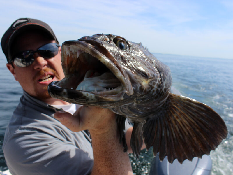 Hook Sizes for Bead Fishing by Josiah Darr – Salmon Trout Steelheader