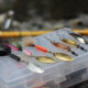Best Trout Lures Pacific Northwest