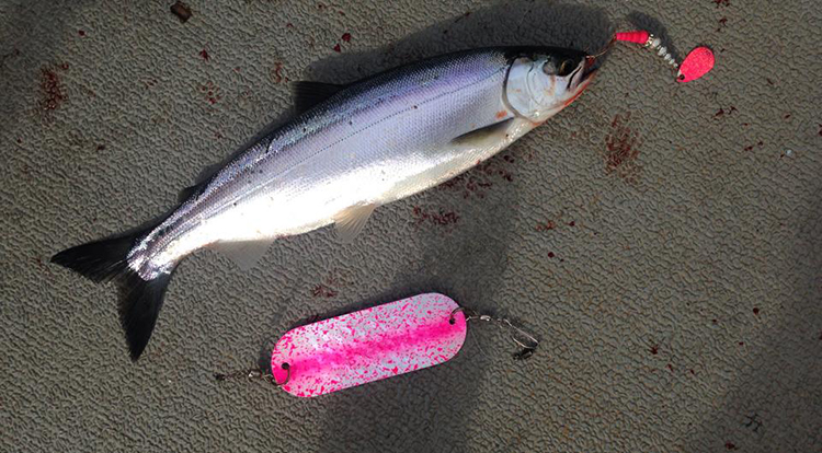 Kokanee Salmon Fishing Lures