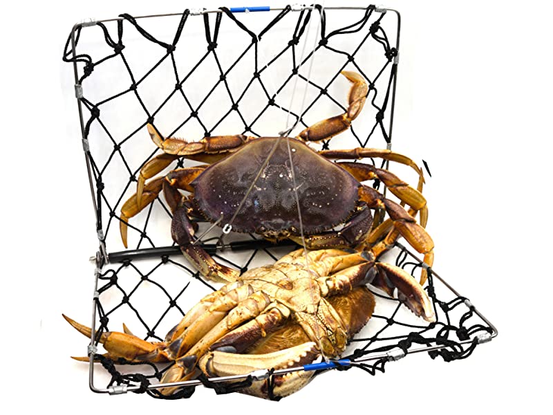What is a crab snare? A snare is basically a trap that tangles up the crab  in such a way to prevent escape. It is made up o…