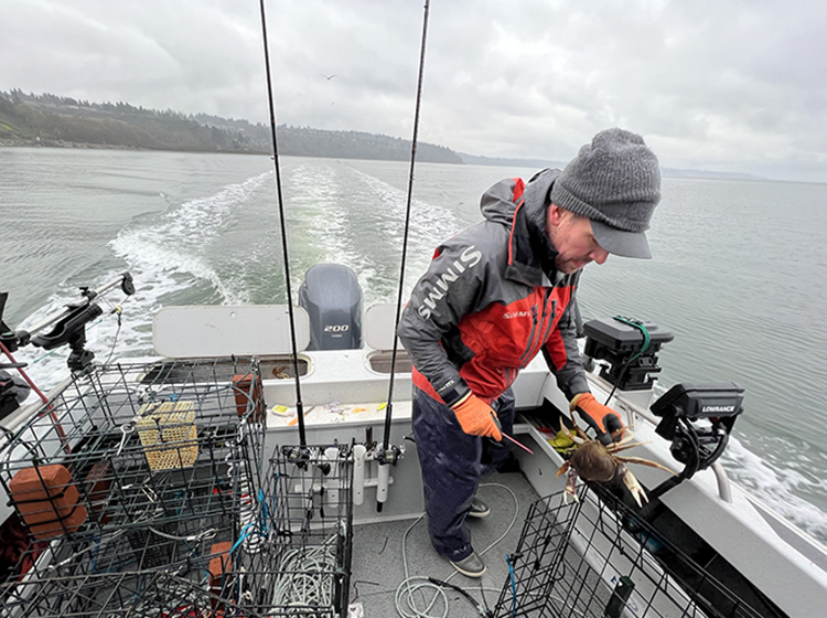 Puget Sound Winter Crabbing