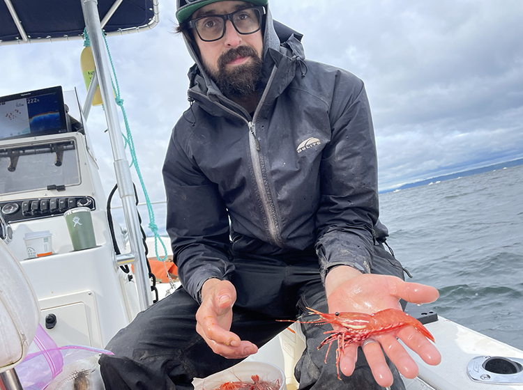 Puget Sound Spot Shrimp fishing