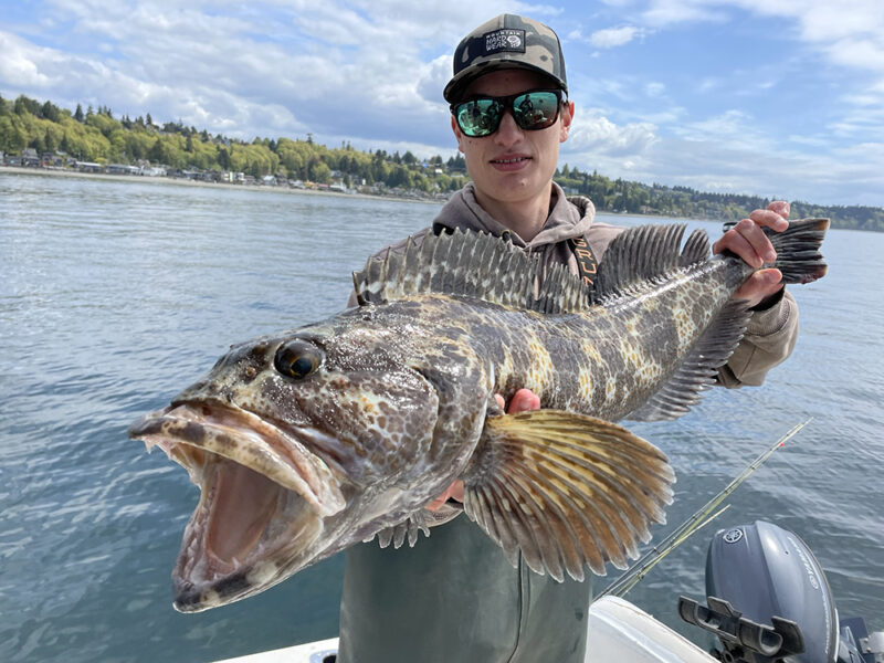 Puget Sound Lingcod fishing report