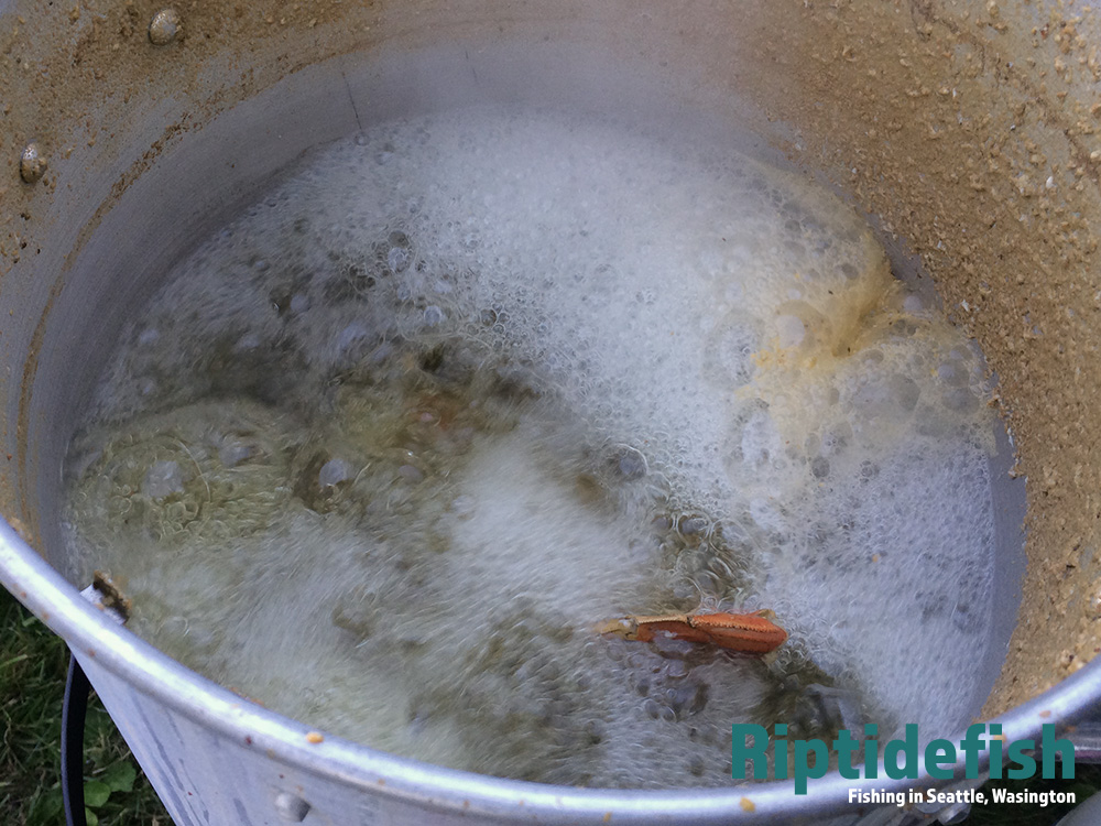 Boiling Dungeness Crab Recipe