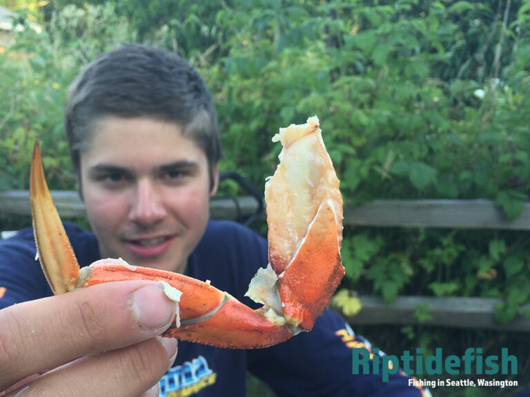 The Ultimate Puget Sound Dungeness Crabbing Guide