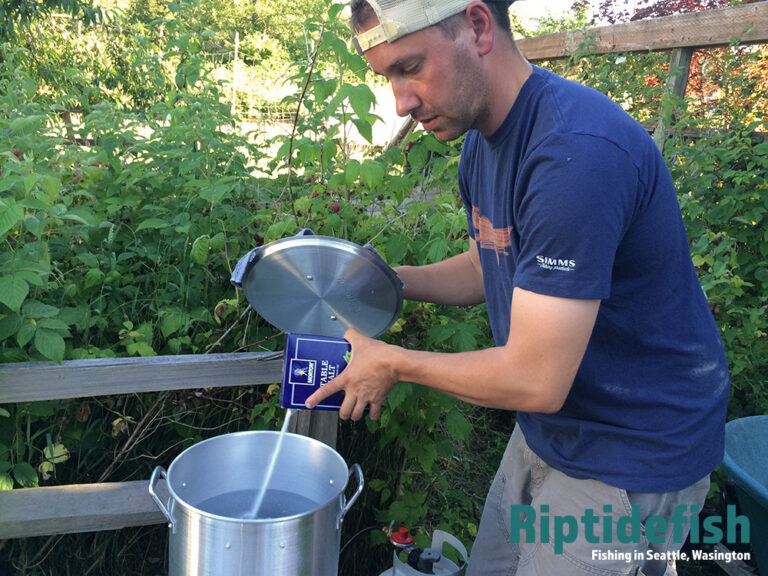 How to Cook Live Dungeness Crab Like A Professional Chef