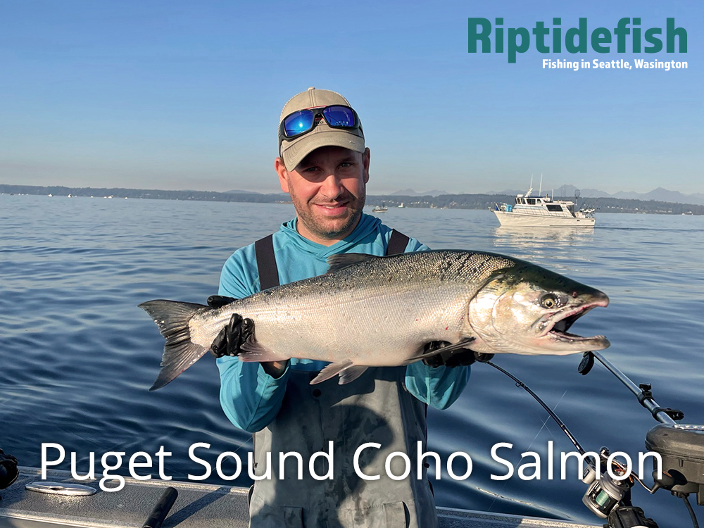 Puget Sound Coho Salmon Fishing