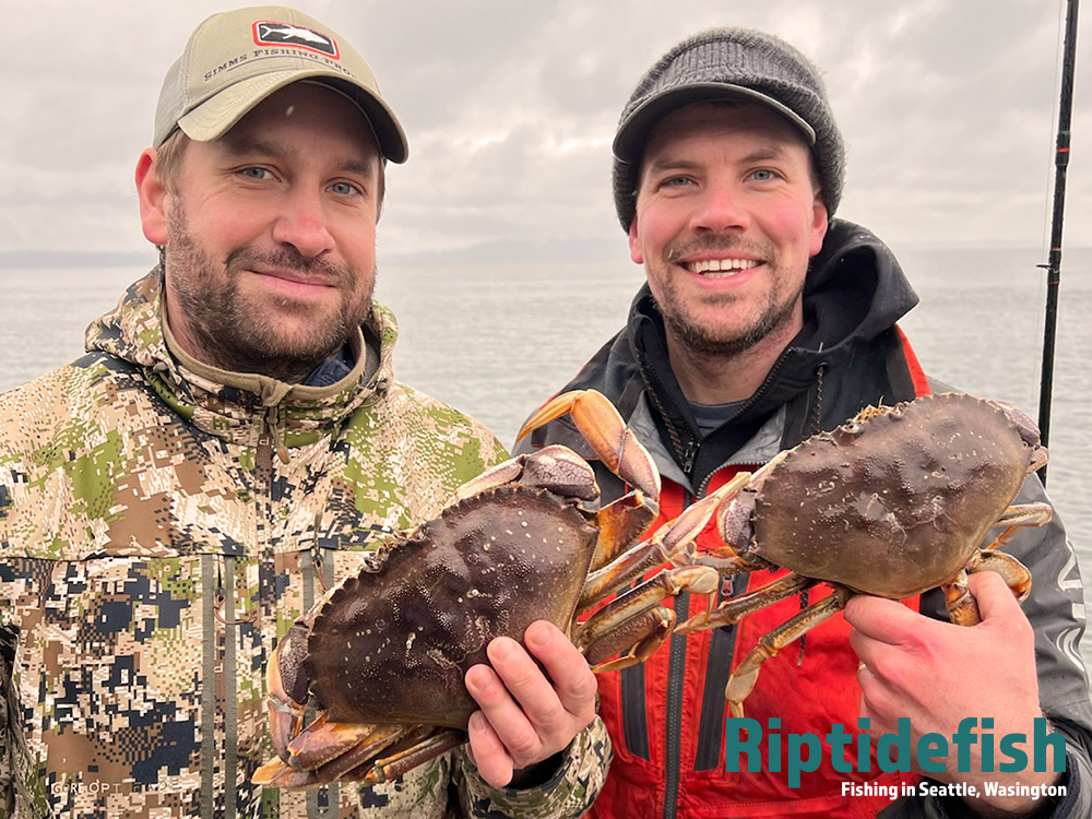 Puget Sound Crabbing Season