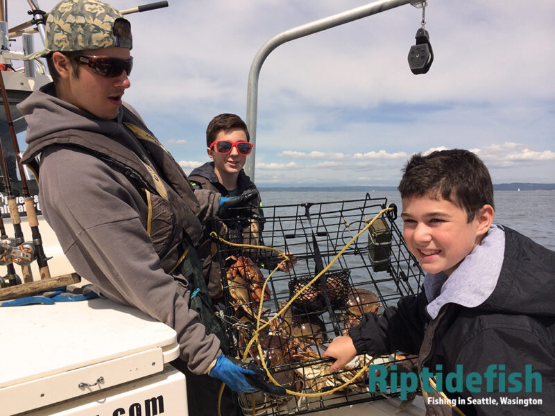 The Ultimate Puget Sound Dungeness Crabbing Guide