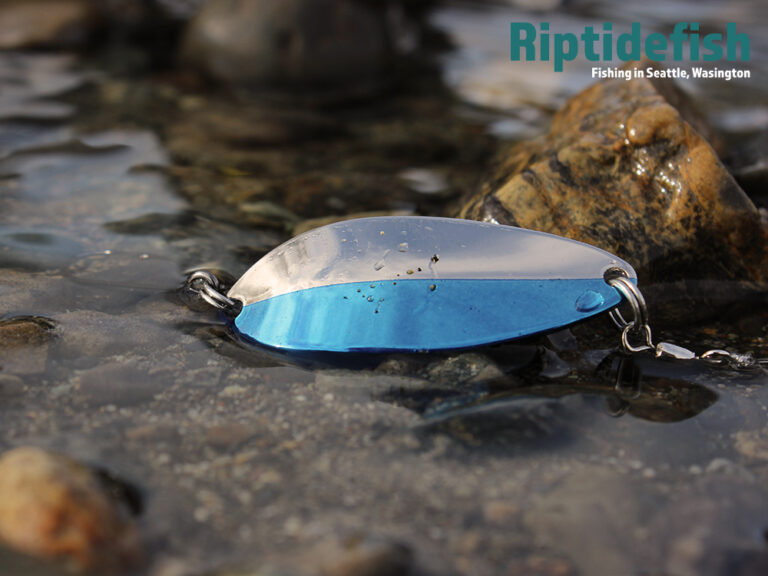 The Best 15 Lures for Winter Steelhead Fishing