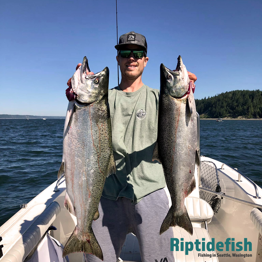 Everett Washington Fishing Report