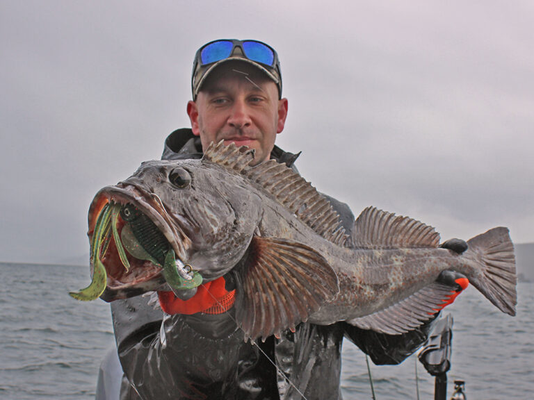 Catching Lingcod on opening day in Neah Bay