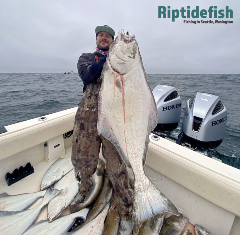 A Simple Guide to Washington’s 2023 Halibut Seasons