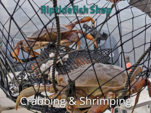 Crabbing and Shrimping Gear