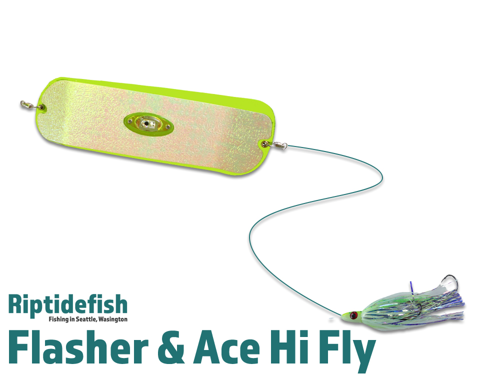 Best Chinook Salmon Trolling Flasher Fly Rig