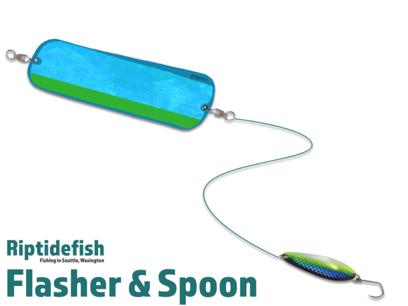 Puget Sound Coho Salmon Guide to Fishing Success