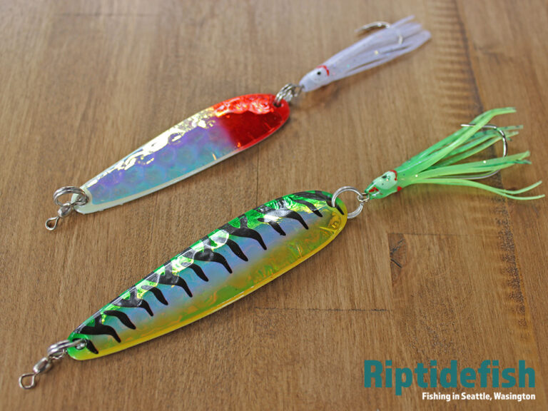 12 Great Fishing Lures for Chinook Salmon Fishing in Saltwater