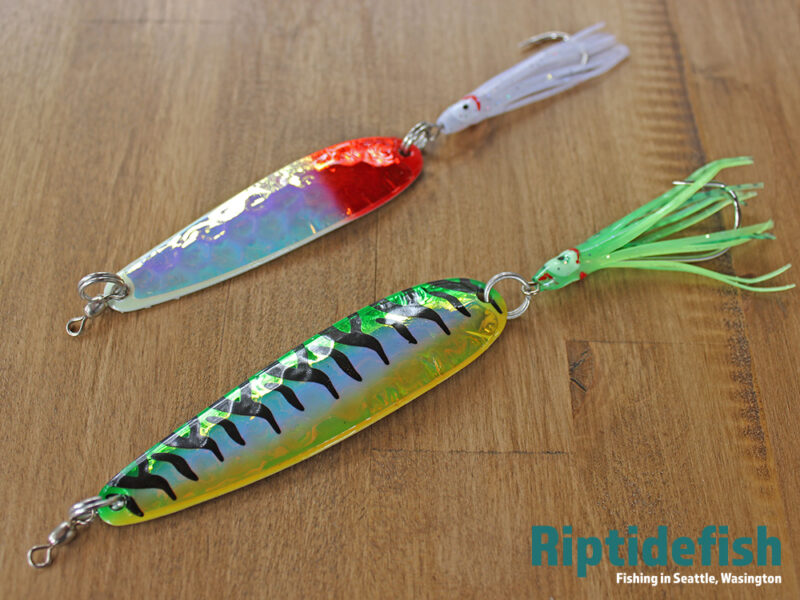 12 Great Fishing Lures for Chinook Salmon Fishing in Saltwater