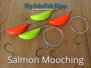 Salmon Mooching