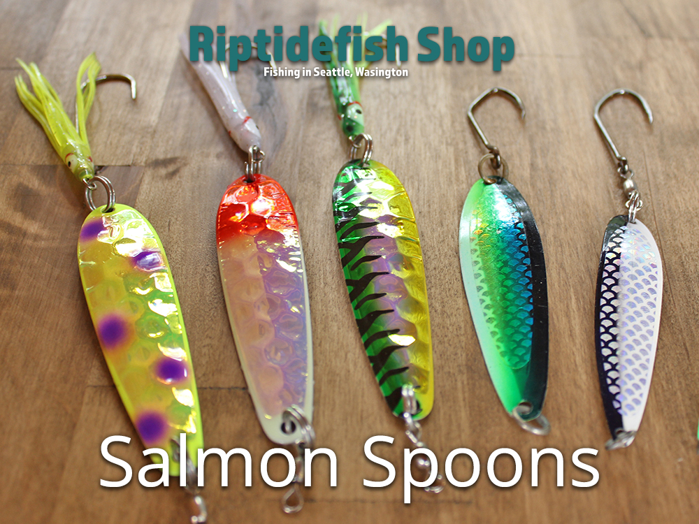 Saltwater Coho Fishing – Trolling Spoons – Gone Fishing Northwest