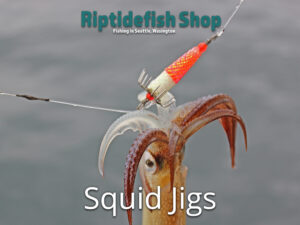 Squid Jig Lures