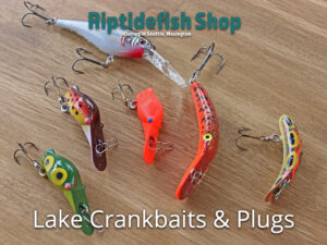 Trout Bass Crankbaits and Plugs