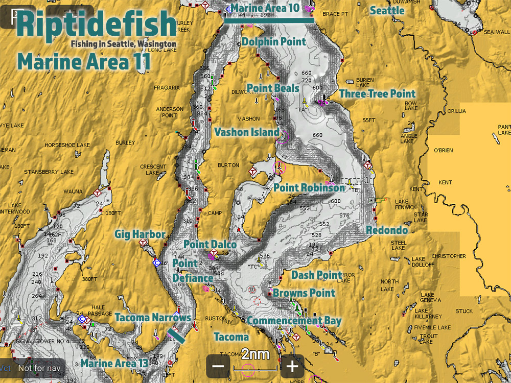 South Puget Sound Chinook Salmon Fishing Hot Spots