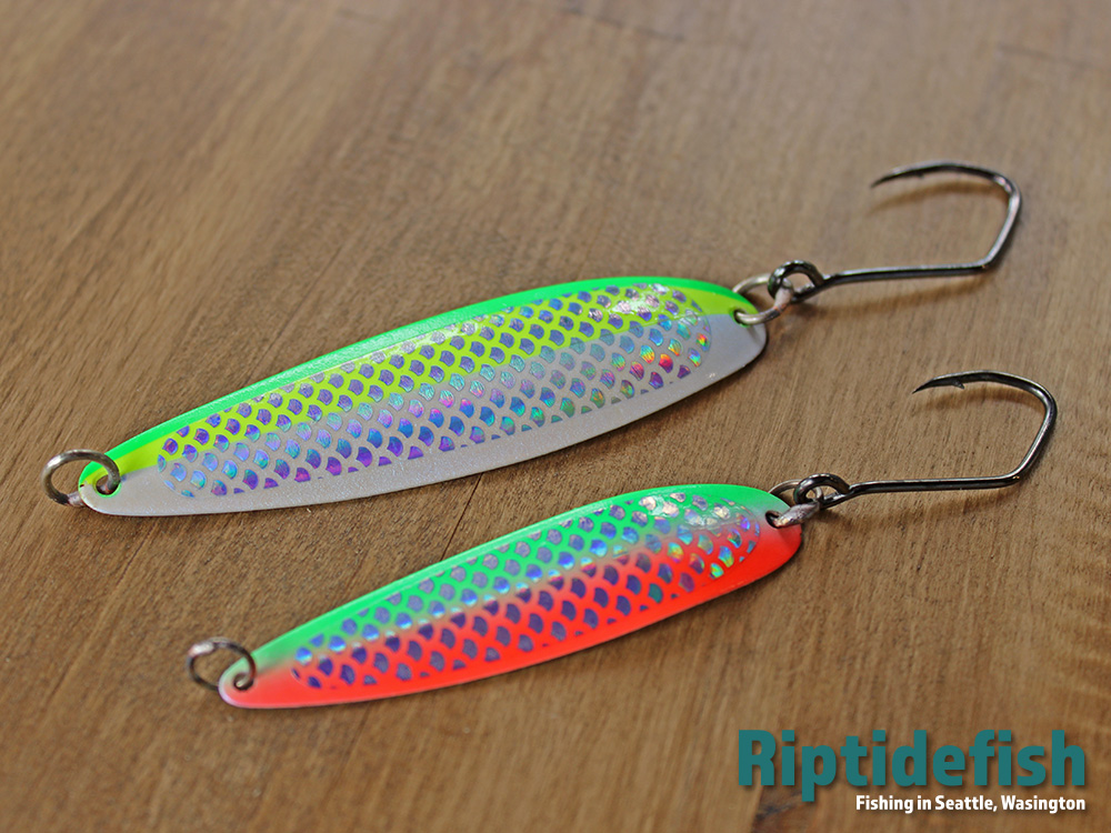 12 Great Fishing Lures for Chinook Salmon Fishing in Saltwater