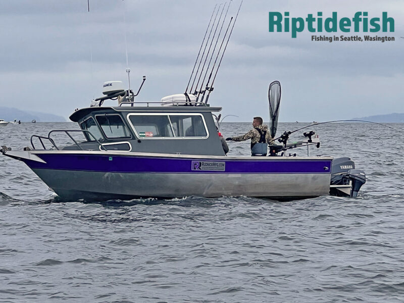 Your Guide to the Washington 2023 Salmon Fishing Seasons Marine Areas