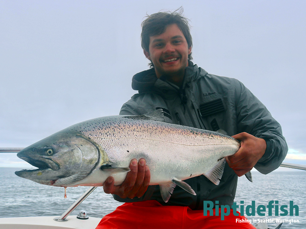 Washington Salmon Fishing Report