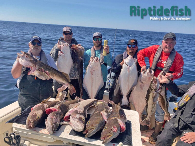 Fishing Report for Seattle & Washington State June 2023