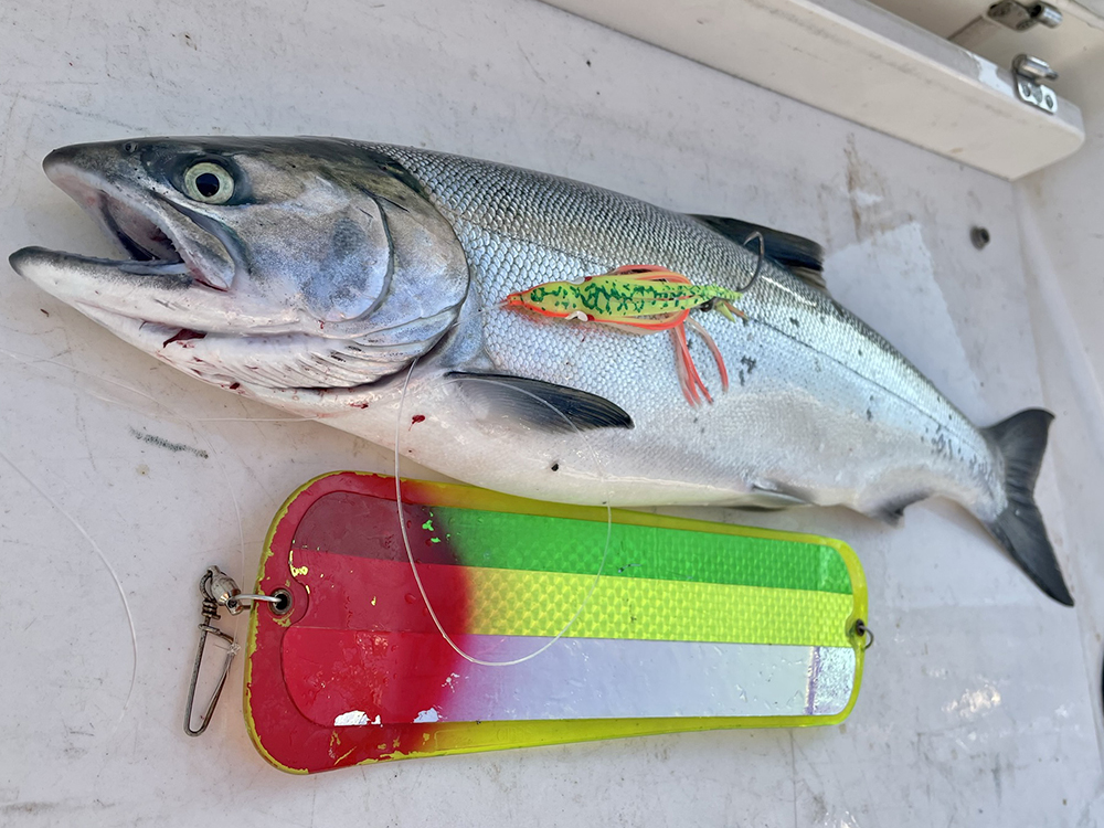 Coho Salmon Fishing Lures Saltwater