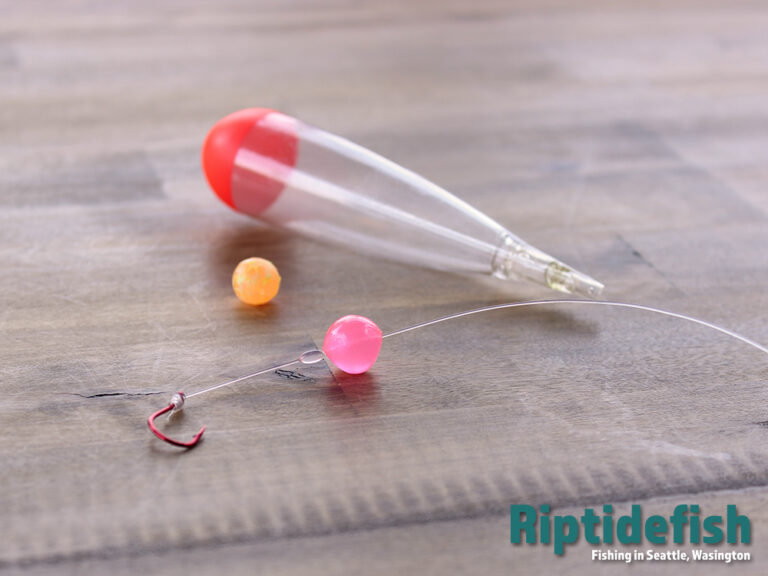 The Best 15 Lures for Winter Steelhead Fishing