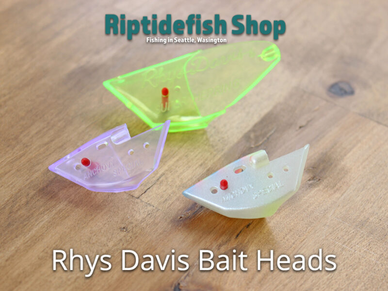 Rhys Davis Anchovy & Herring Heads