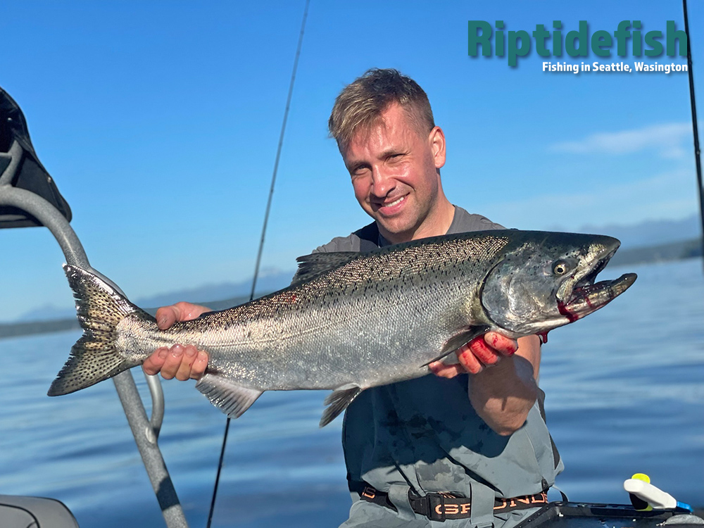 Seattle Salmon Fishing
