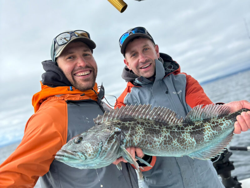 Puget Sound Lingcod Fishing Report