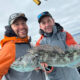 Puget Sound Lingcod Fishing Report