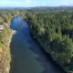 Cowlitz River Fishing