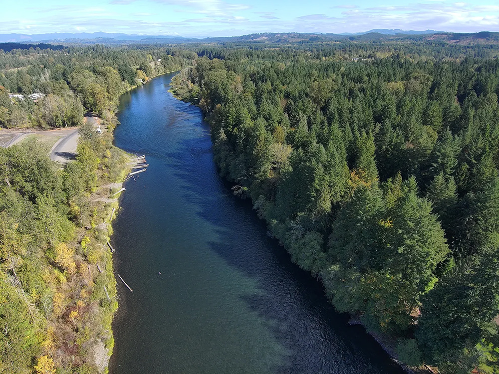 Cowlitz River Fishing