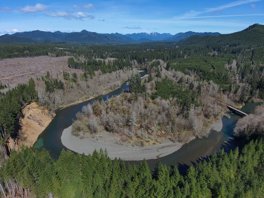 Humptulips River Fishing