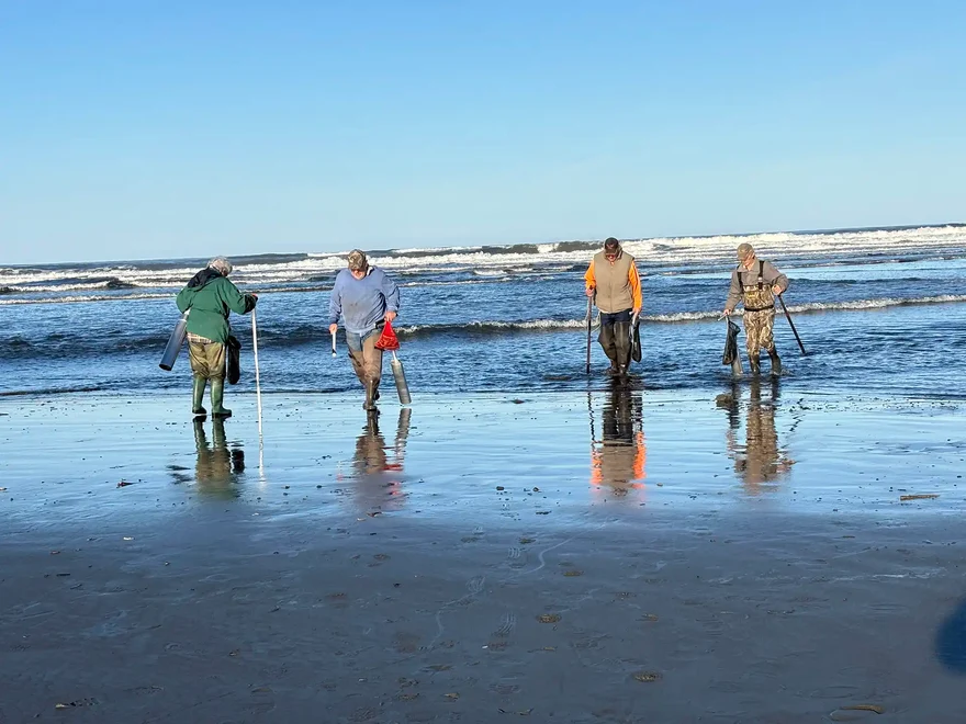 Long Beach Razor Clam Season