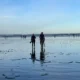 Washington Razor Clams