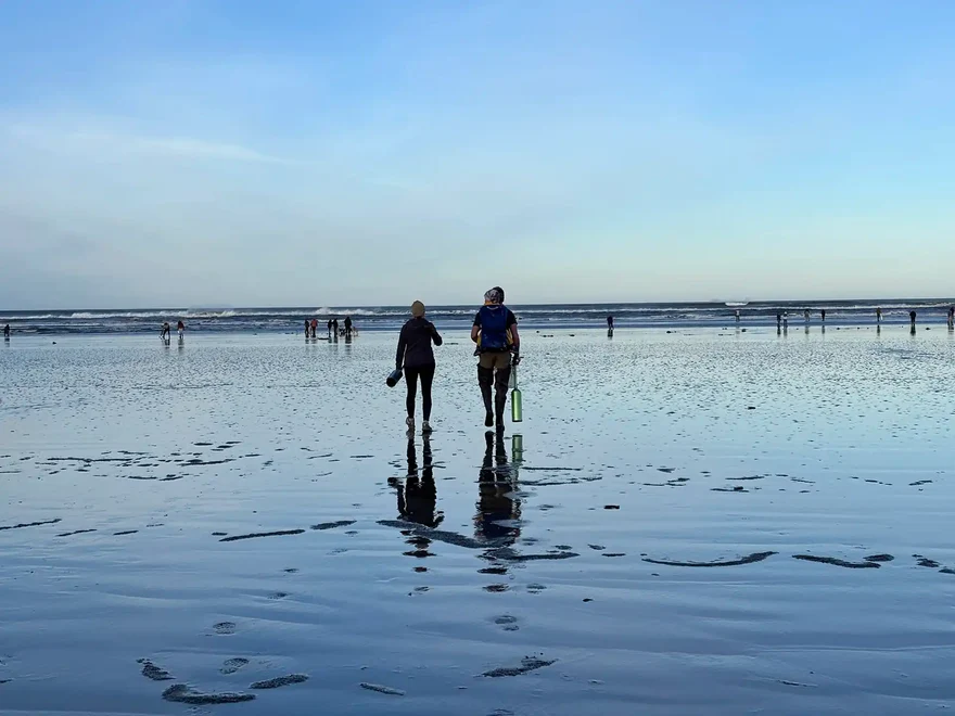 Washington Razor Clams