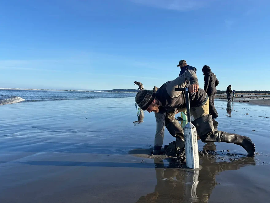 Mocrocks Beach Razor Clam Digging