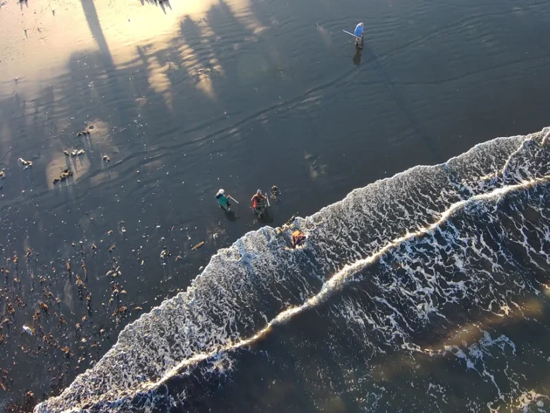 Copalis Beach Razor Clam Digging