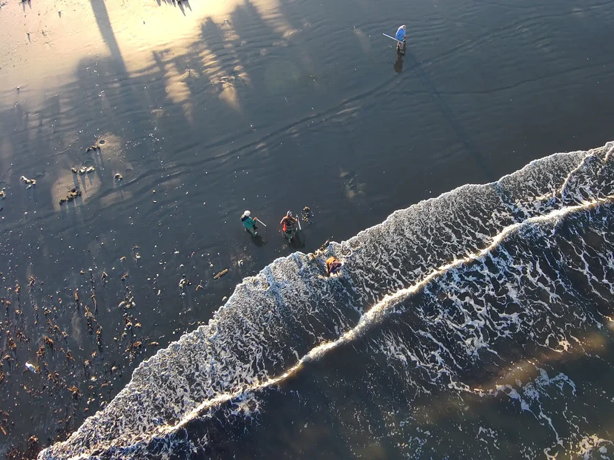 Copalis Beach Razor Clam Digging