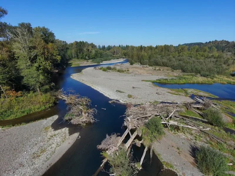 Satsop River Fishing