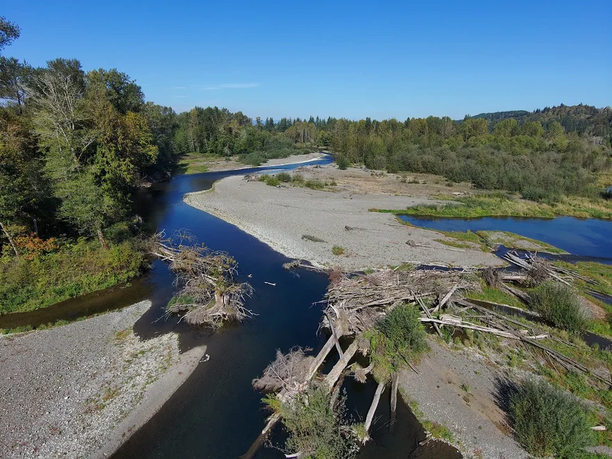 Satsop River Fishing