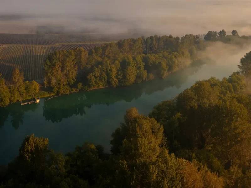 Skagit River Fishing