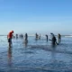 Twin Harbors Razor Clam Digging